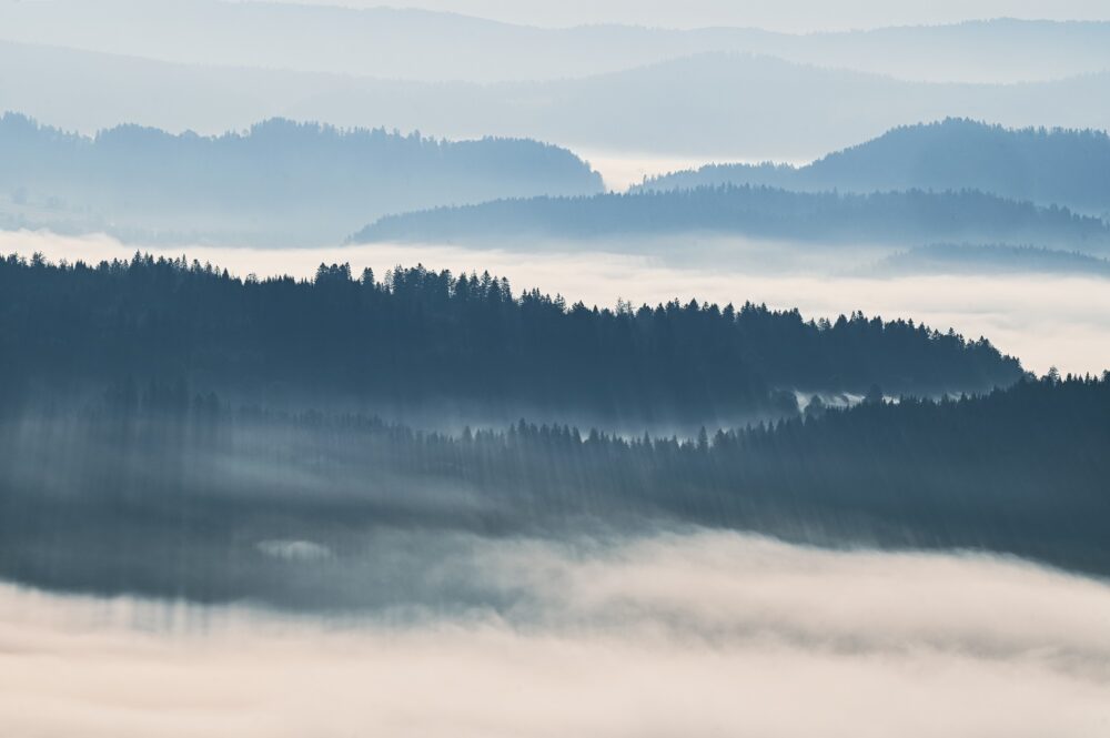 winter sparren mist koud landschap pays horloger