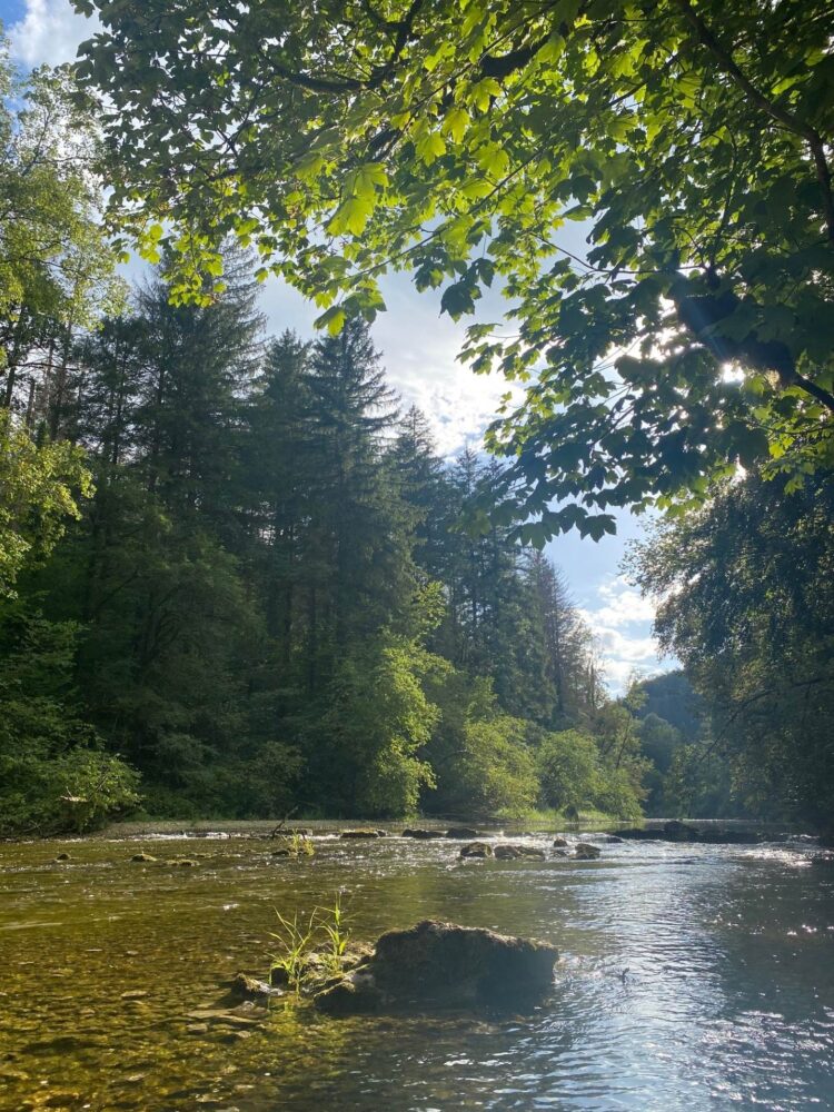 river sinks pays horloger summer Jura PNR Doubs