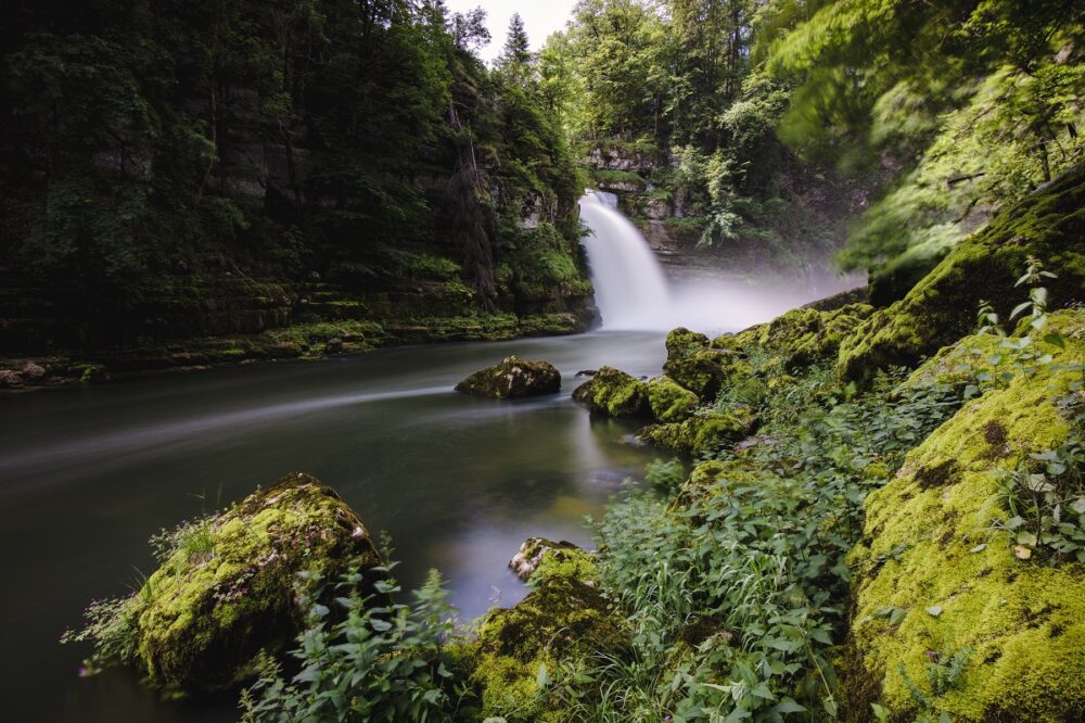 Doubs riviersprong natuur pays horloger