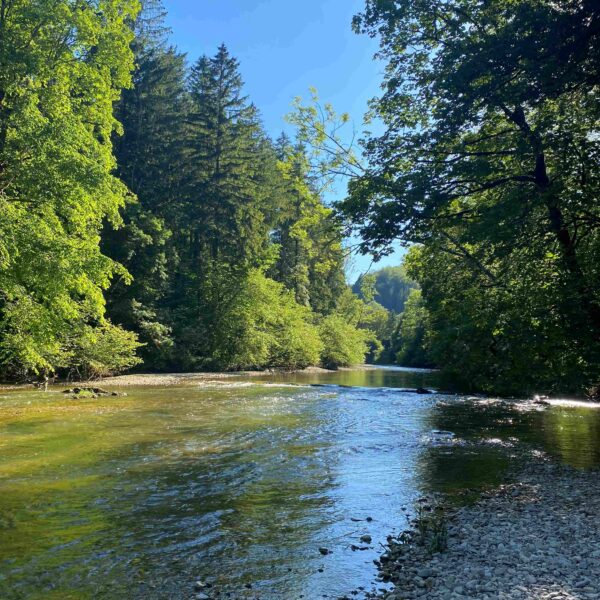 Dessoubre_printemps©elisepourny (7)r Dessoubre rivière vallée pays horloger eau