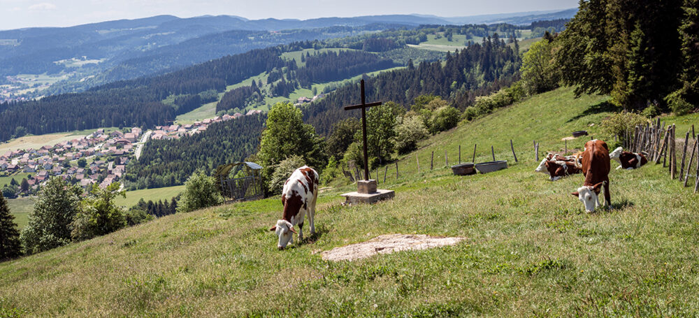 Morteau Mont Vouillot vue vaches pays horloger