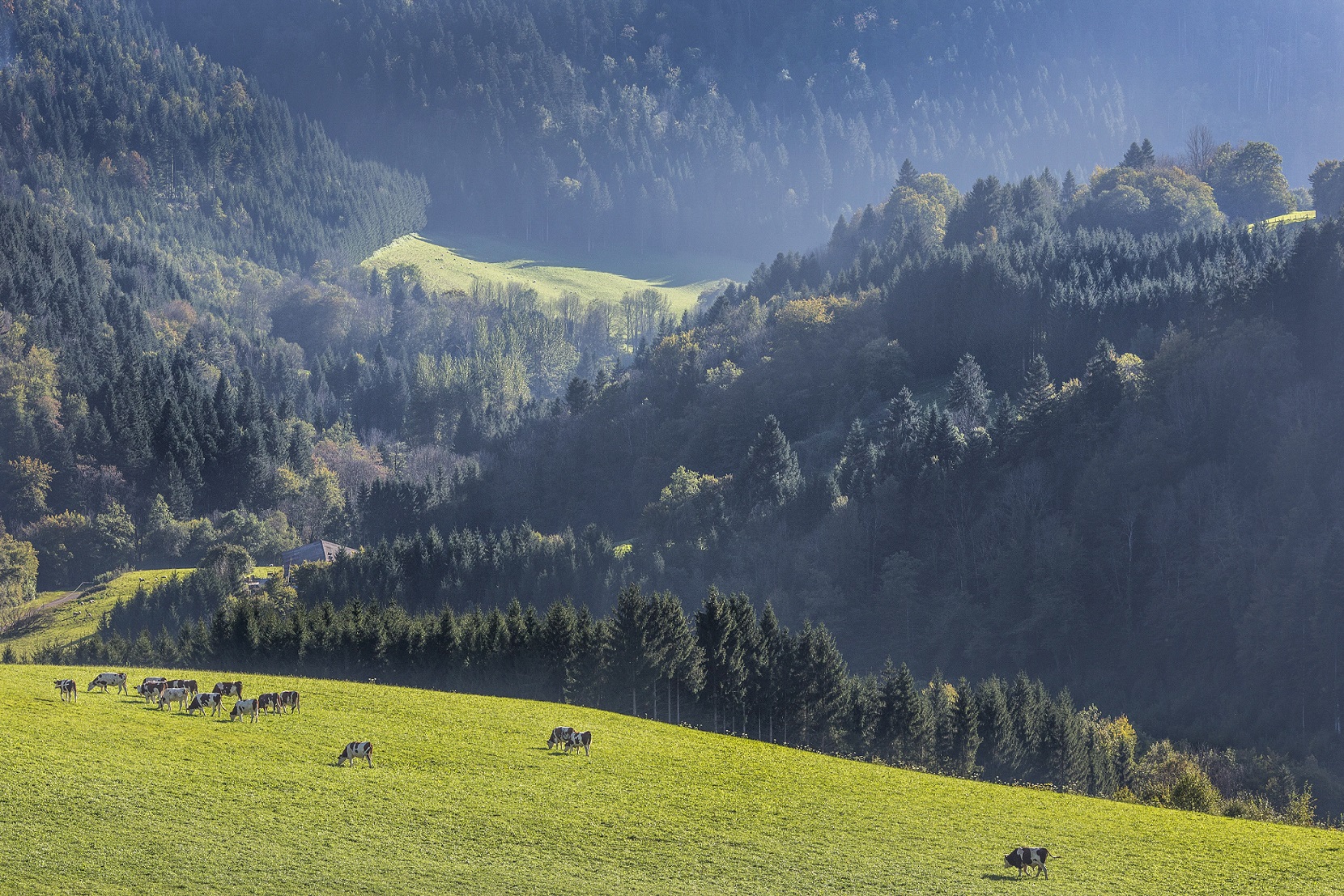 Le Pays Horloger au cœur du Parc naturel régional du Doubs Horloger
