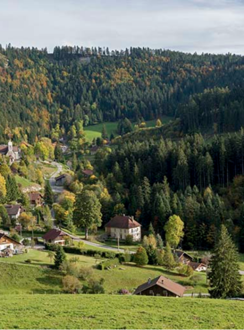 Chemin Michel Hollard vallee randonnée Morteau Pays Horloger