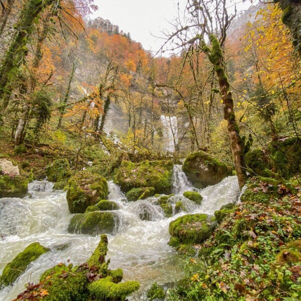 consolation nature eau cascades automne pays horloger