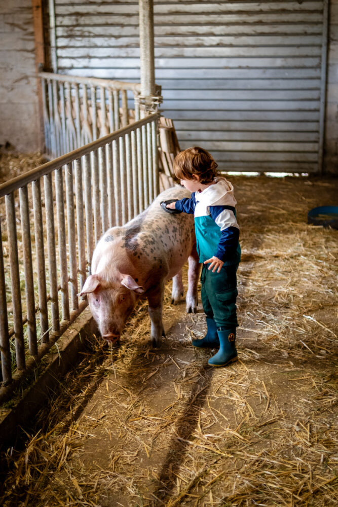 varkensstal kinderboerderij barboux pays horloger