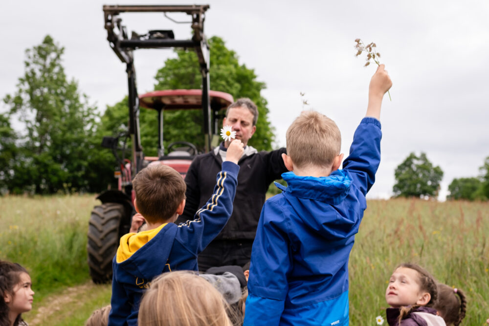 boerderij tractor kinderen bloemenvelden dominique rondot