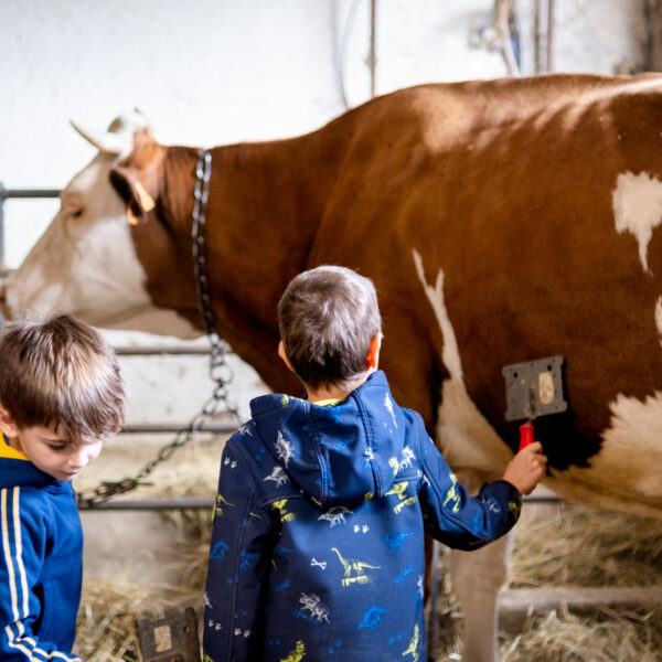 ferme barboux vache enfants étable pays horloger