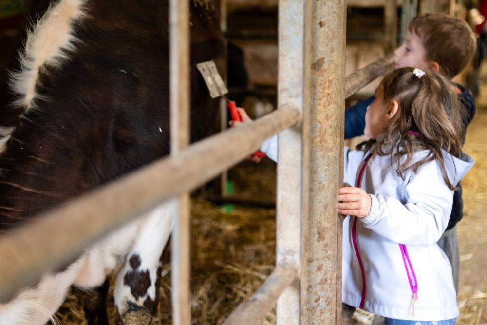 Barboux boerderijdieren kinderstal pays horloger