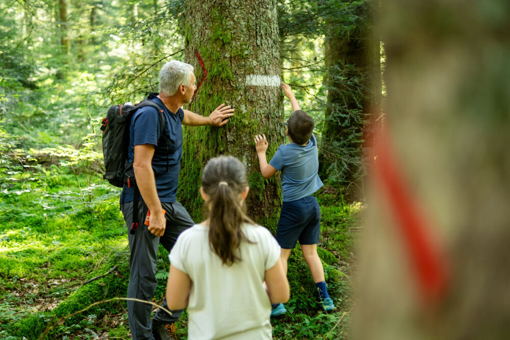 rando accompagnée balade famille nature forêt pays horloger programme activités vacances