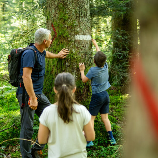 rando accompagnée balade famille nature forêt pays horloger programme activités vacances