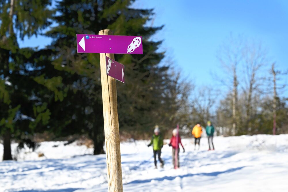 violette Schneeschuhmarkierungen