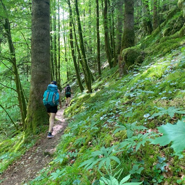 rando_GTJ_echellesdelamort©elisepourny (12)r Waldwanderung pays horloger GTJ-Talleitern-Wanderungen in Maiche