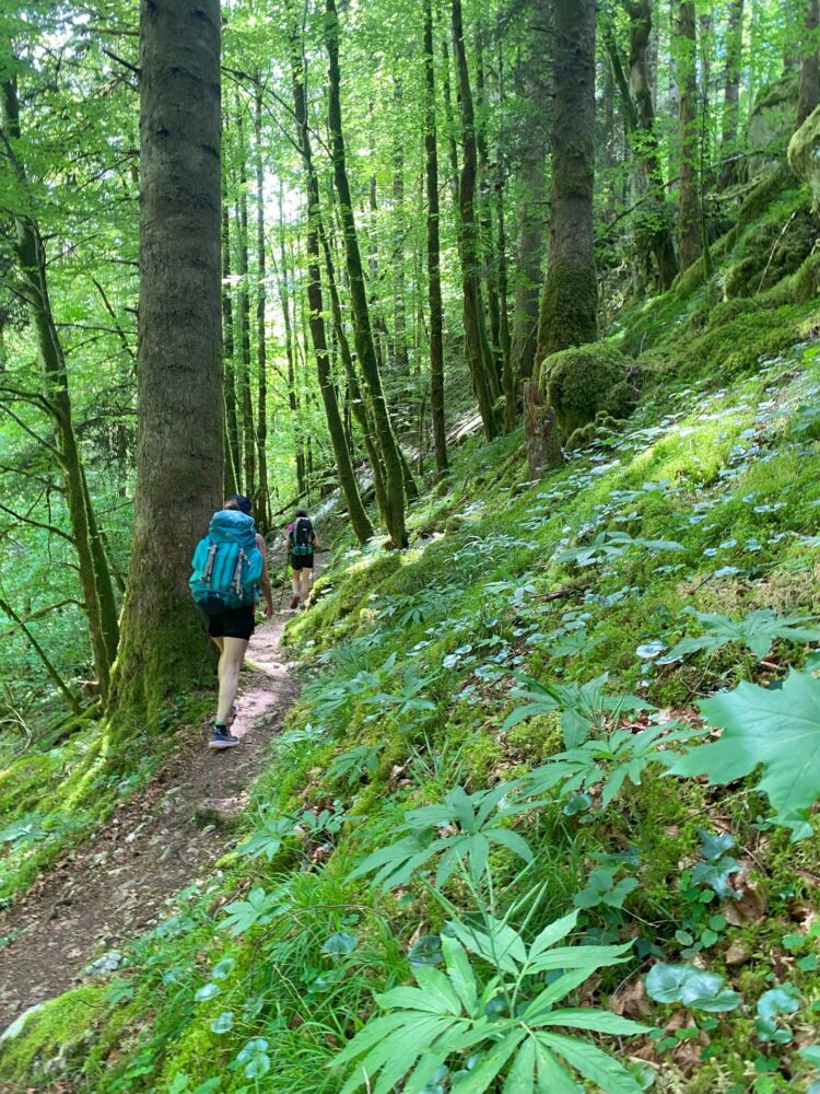 boswandeling pays horloger GTJ-vallei ladders wandelingen in Maiche
