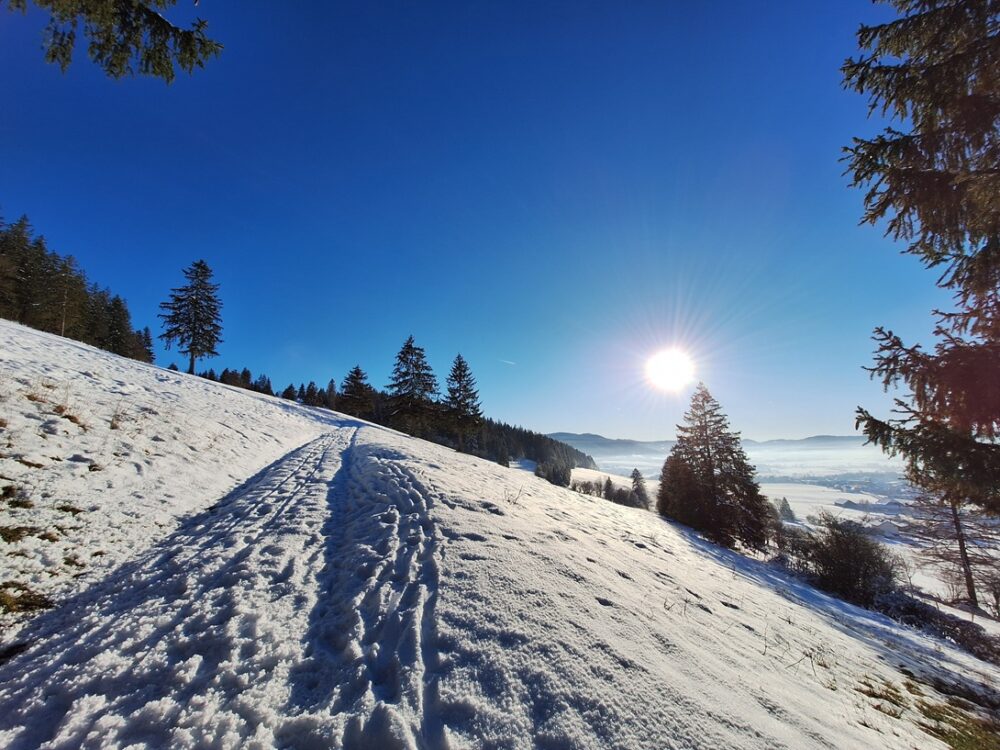 hiver paysage soleil au dessus brouillard, neige