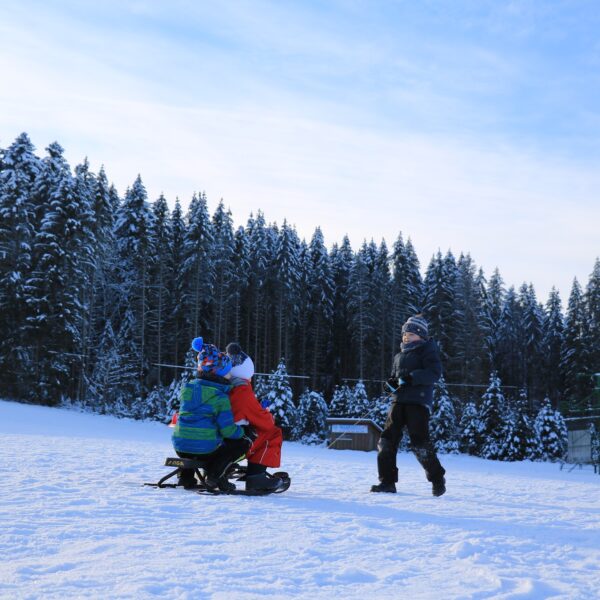 children's sled, snow bob winter