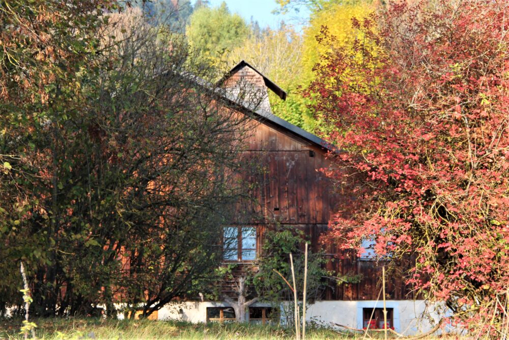 ferme comtoise ferme à tuyé automne