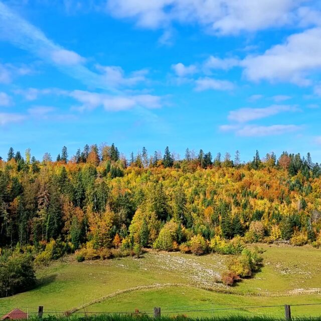 Merci à @axel_meyer_42 pour ce beau cliché automnal pris vers les Fins 📸🍂

#tasmeilleurtemps #payshorloger #pnrdoubshorloger #doubstourisme #visitdoubs #montagnesdujura #bourgognefranchecomte_tourisme