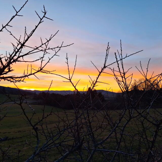 Les derniers couchers de soleil de cette année sont magnifiques avec toutes ces couleurs dans le ciel 🤩
Passez de belles fêtes ! On se retrouve en 2024 🎉

#payshorloger #tasmeilleurtemps #pnrdoubshorloger #visitdoubs #doubstourisme #montagnesdujura #bourgognefranchecomte_tourisme