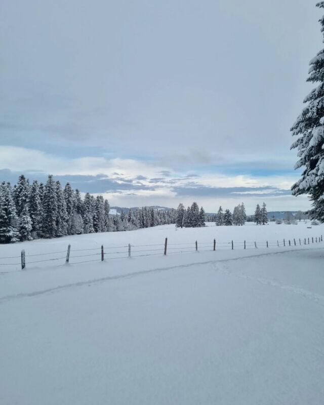 Le temps semble s'être arrêté avec ce blanc immaculé ❄️ 

Un vrai paradis blanc 🤍

📸 @laura_bobillier

#payshorloger #tasmeilleurtemps #pnrdoubshorloger #visitdoubs #doubstourisme #montagnesdujura #bourgognefranchecomte_tourisme #sortezchezvous