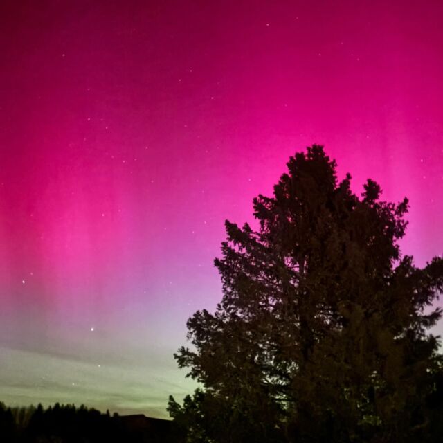 Retour en images sur les incroyables aurores boréales qui ont illuminé le ciel du Pays Horloger pendant deux soirées la semaine dernière 🤩 🌌

Les avez-vous vu aussi ? 😍

#payshorloger #tasmeilleurtemps #pnrdoubshorloger #visitdoubs #doubstourisme #montagnesdujura #bourgognefranchecomte_tourisme #sortezchezvous #nature #calme #auroresboreales