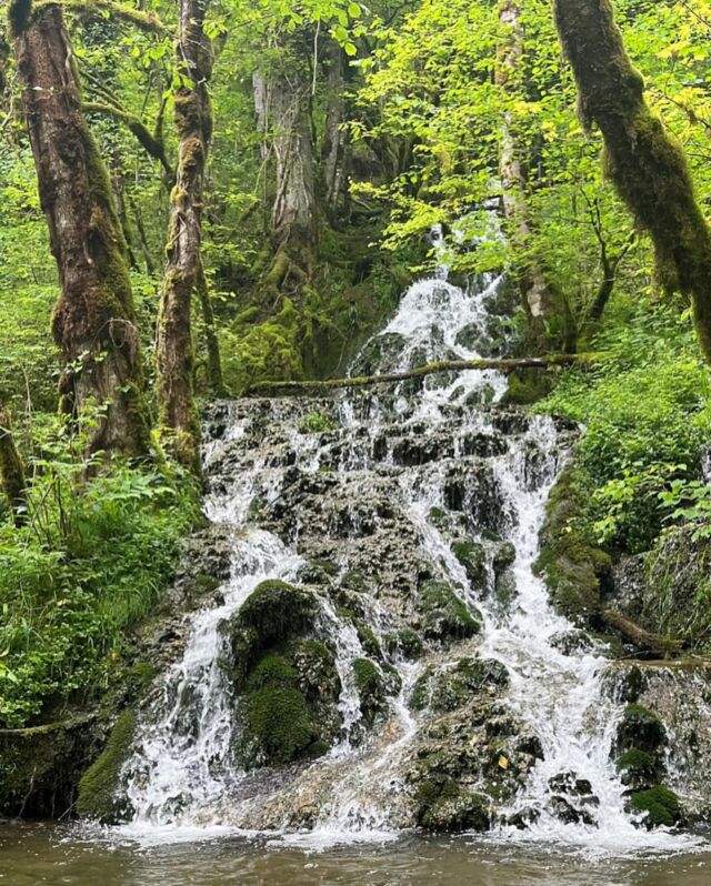 Au cœur du Parc naturel régional du Doubs Horloger, rivières, vallées et cascades ne manquent pas ! Pour profiter d’un spectacle impressionnant, privilégiez la fin de l’hiver ou les lendemains de pluie qui gonflent les rivières et les cascades. Il y a les incontournables comme le Saut du Doubs, Consolation ou encore le barrage du Châtelot. Mais aussi les cascades de Waroly, la cascade des Chaudières, moins connues du public ...

Notre sélection des randonnées au bord de l’eau et des cascades 🌲💧⬇️

www.pays-horloger.com/les-randonnees-au-bord-de-leau-et-des-cascades/

#payshorloger #tasmeilleurtemps #pnrdoubshorloger #visitdoubs #doubstourisme #montagnesdujura #bourgognefranchecomte_tourisme #sortezchezvous #cascade #nature #randonnée