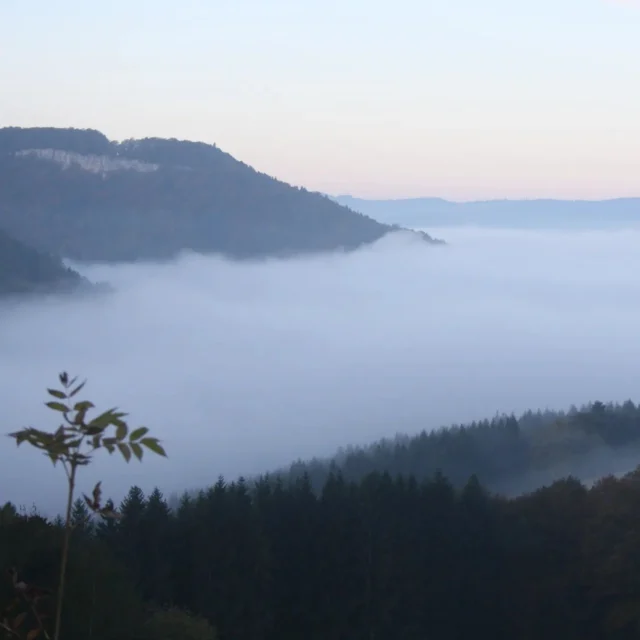 Plongez dans la magie de l'automne en Pays Horloger, où les brumes dansent délicatement dans les vallées, illuminant les sommets de leur éclat mystérieux. Un spectacle naturel enchanteur qui ne demande qu'à être découvert. 🌫🍂🌲

📍Le Grand Clos à Montandon

#payshorloger #tasmeilleurtemps #prenonsletemps #pnrdoubshorloger #visitdoubs #doubstourisme #montagnesdujura #bourgognefranchecomte_tourisme #sortezchezvous #explorefrance #automne
