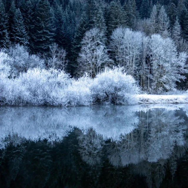 Ces reflets givrés dans le Doubs sont sublimes ❄️🤩

Merci à @saramax.25 pour le partage 📸

#payshorloger #tasmeilleurtemps #pnrdoubshorloger #doubstourisme #visitdoubs #montagnesdujura #bourgognefranchecomte_tourisme #bfctourisme #sortezchezvous #explorefrance #hiver